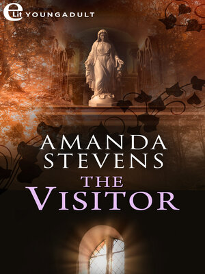 cover image of The Visitor